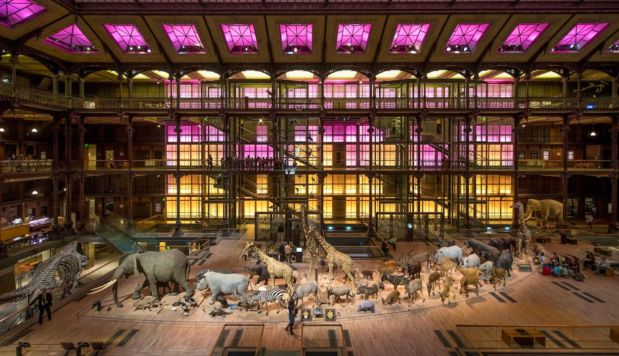Grande Galerie de l'Évolution: Skip The Line Ticket